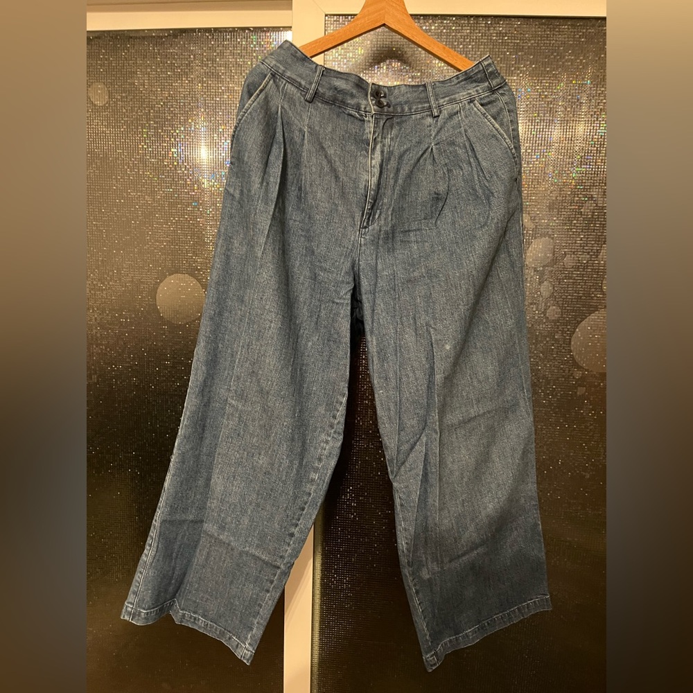 Madewell Flare Wide Leg Pleated Jeans